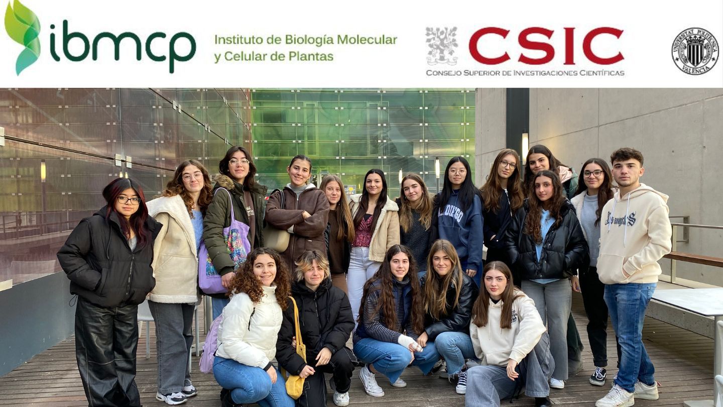 Visita IBMCP 2024