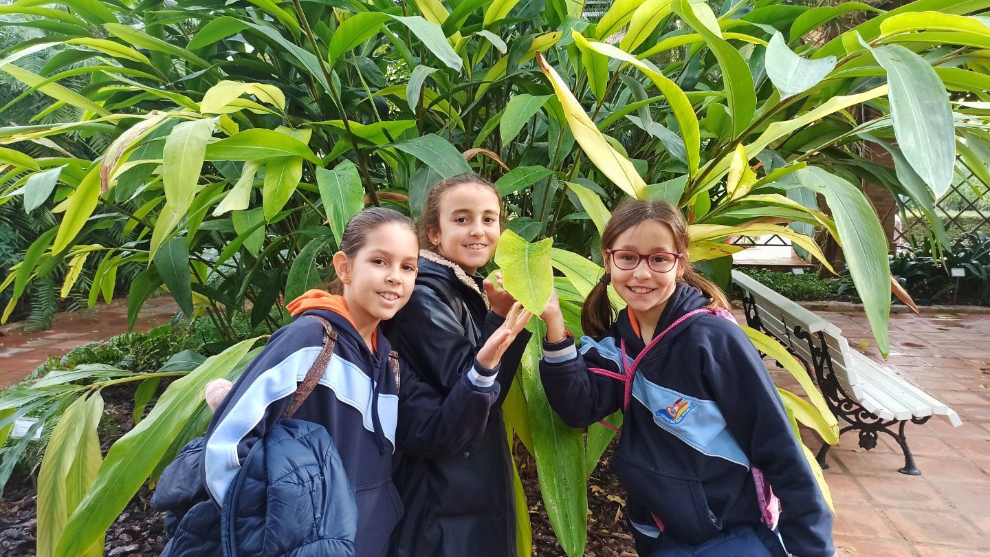 Jardí Botànic de València | #4Primaria