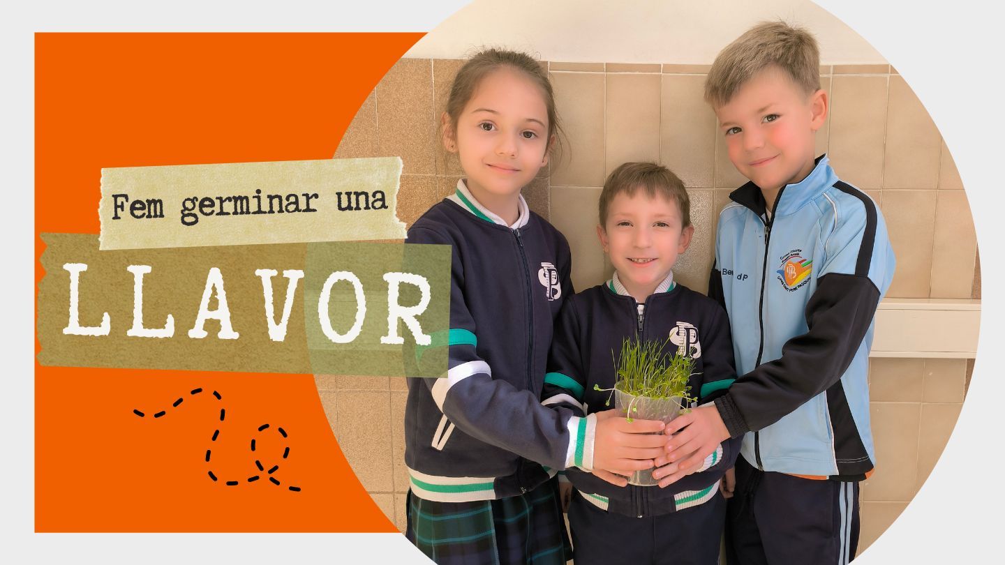 La llavor de la il·lusió