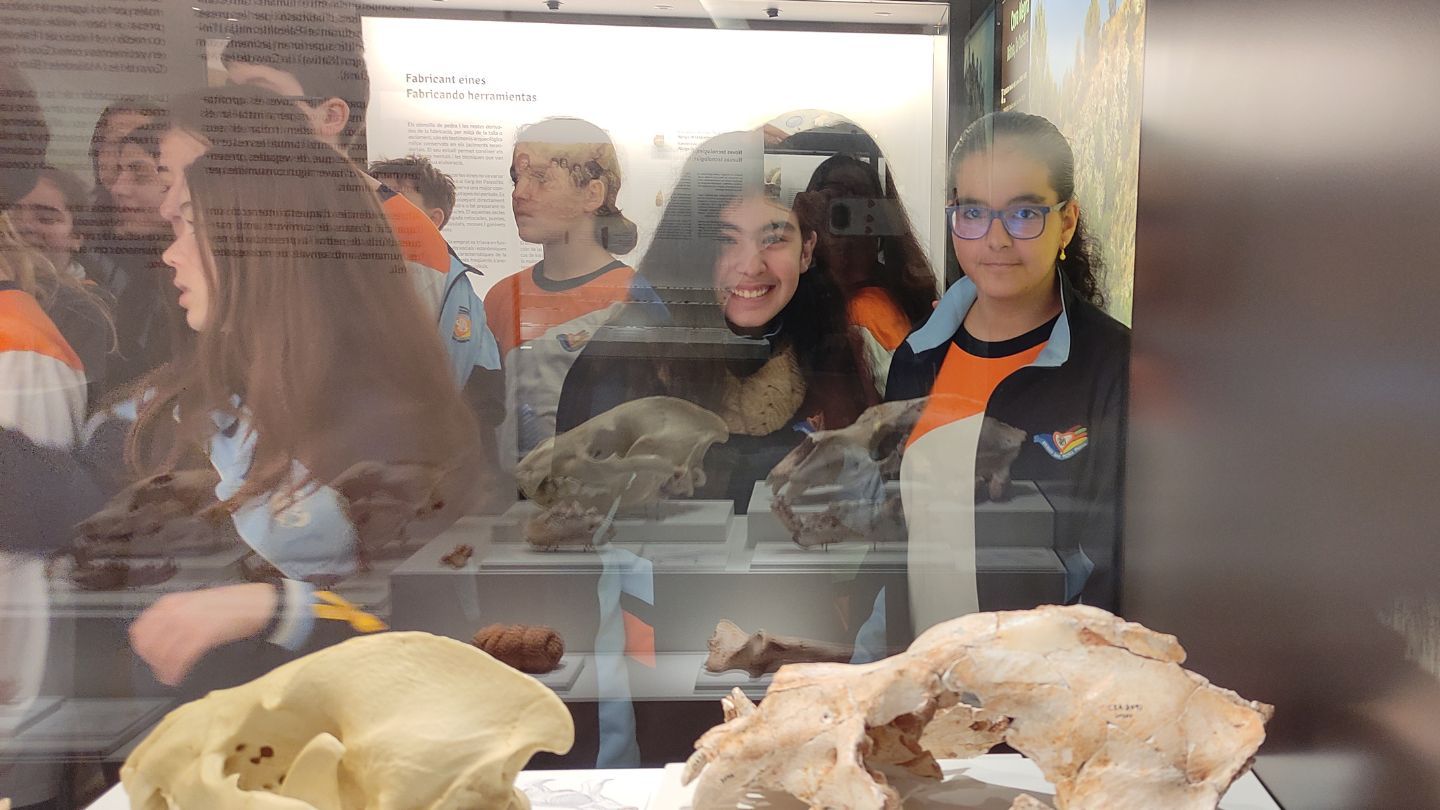 Museu de Prehistòria 2024